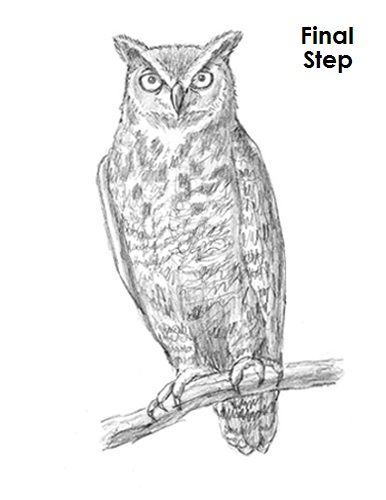 386x500 Great Horned Owl Drawing Final Owls - Great Horned Owl Drawing