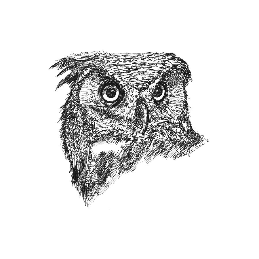 900x900 Great Horned Owl Drawing - Great Horned Owl Drawing