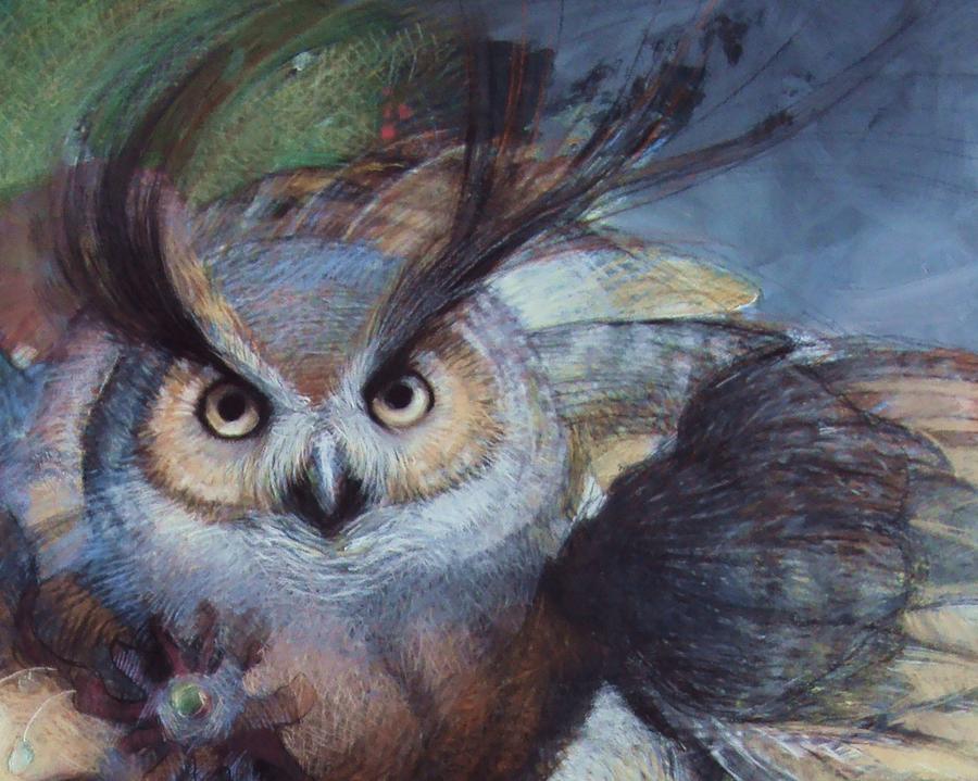 900x719 Great Horned Owl Drawing - Great Horned Owl Drawing