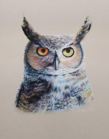 375x477 Great Horned Owl Portrait Drawing - Great Horned Owl Drawing
