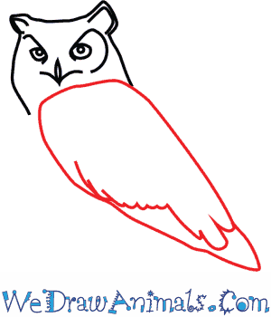 300x350 How To Draw A Great Horned Owl - Great Horned Owl Drawing