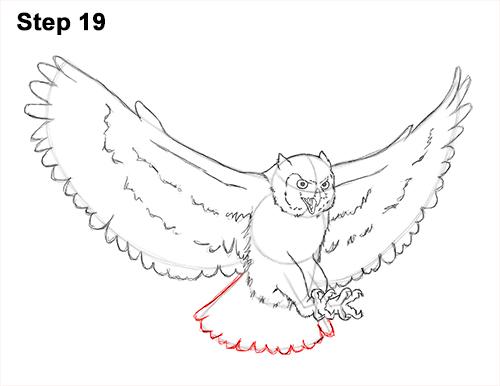 500x386 How To Draw An Owl - Great Horned Owl Drawing