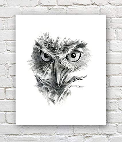 425x495 Great Horned Owl Pencil Drawing Art Print - Great Horned Owl Drawing
