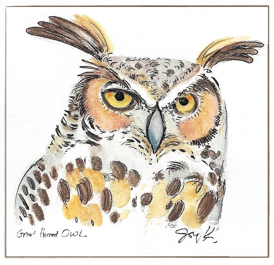 913x883 Great Horned Owl Drawing Art - Great Horned Owl Drawing