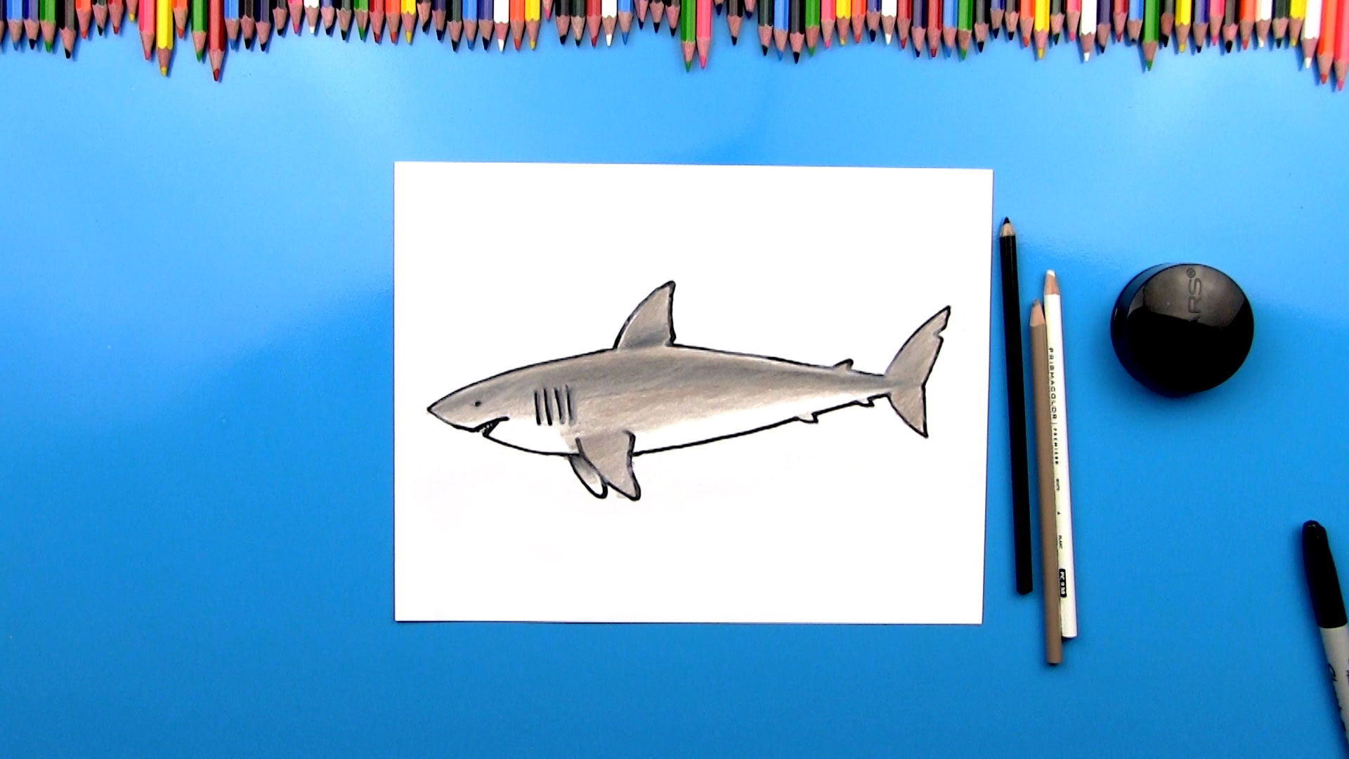 1920x1080 How To Draw A Great White Shark - Great White Drawing
