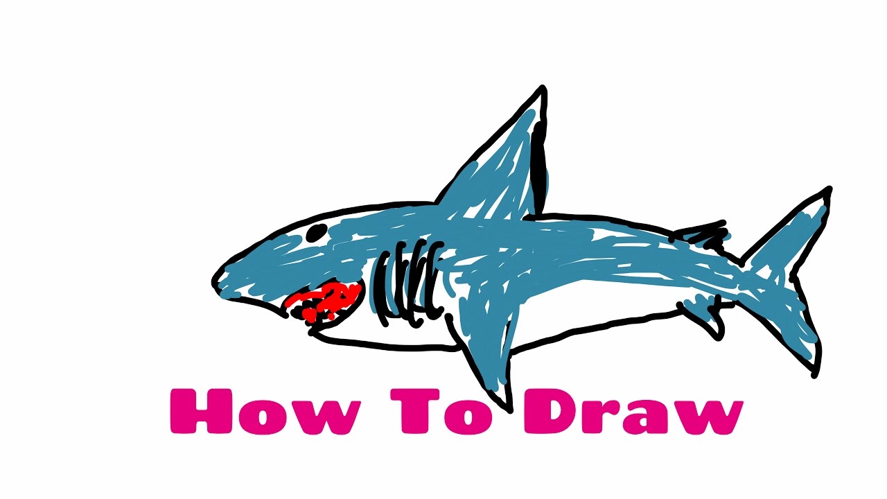 1280x720 How To Draw A Great White Shark Easy Way - Great White Drawing
