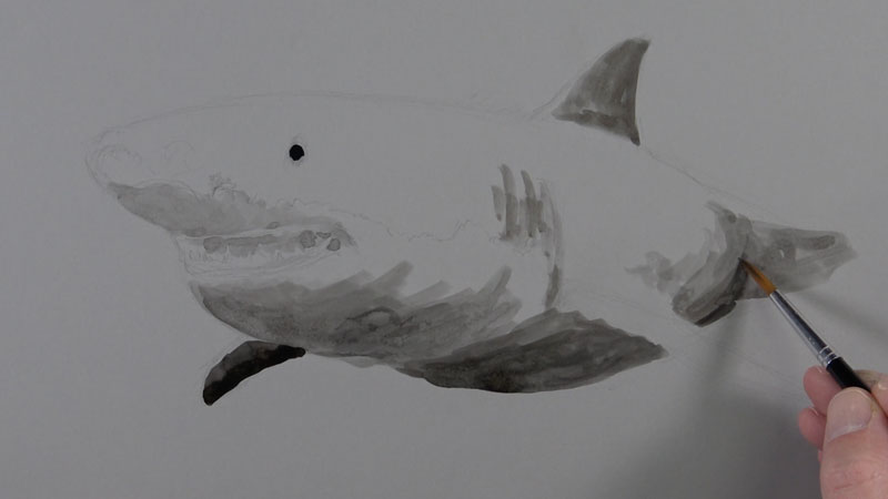 800x450 Mixed Media Drawing Lesson - Great White Drawing
