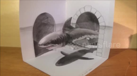 580x324 Newsflare - Great White Drawing