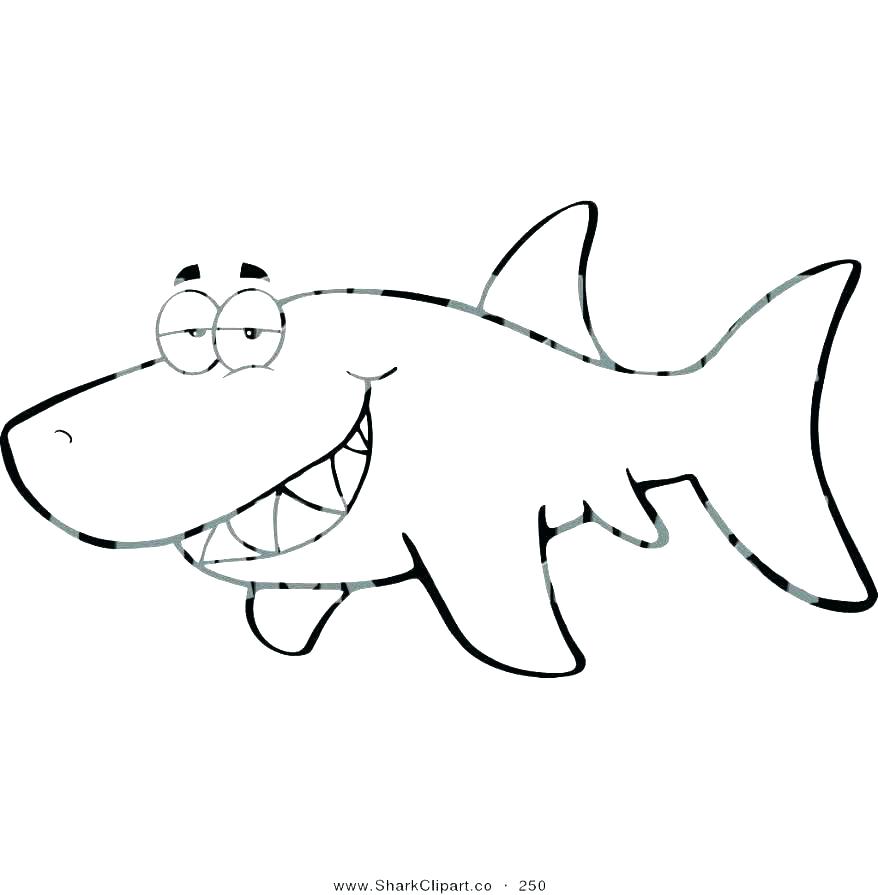 878x895 great white shark coloring pages printable drawings of sharks pa - Great White Shark Cartoon Drawing