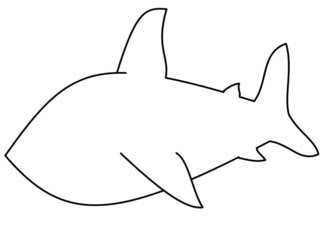320x240 How To Draw Cartoons How To Draw A Shark - Great White Shark Cartoon Drawing