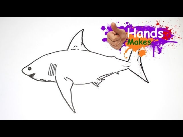640x480 easy how to draw a cartoon great white shark for kids - Great White Shark Cartoon Drawing