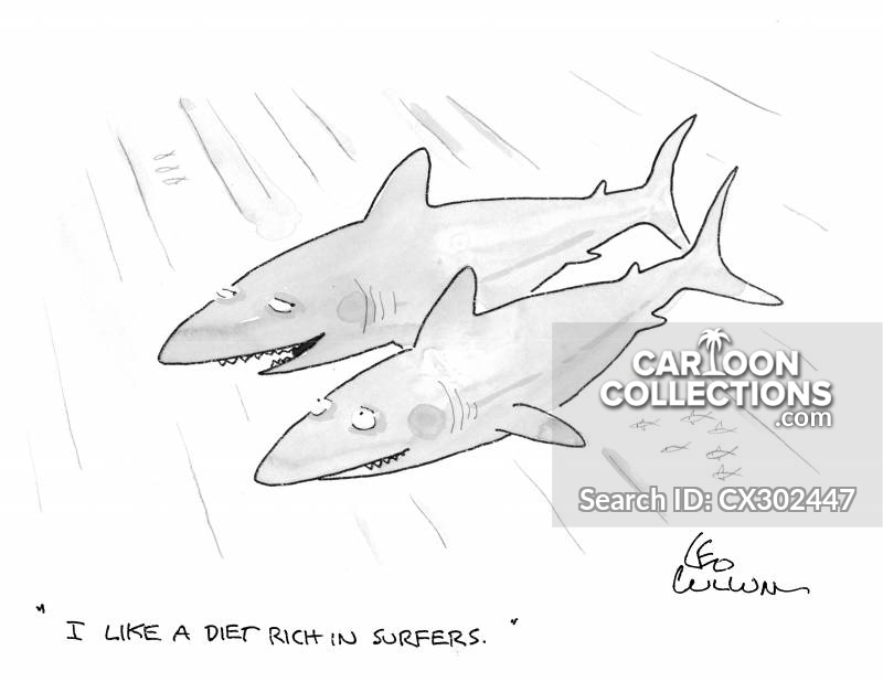 800x618 great white shark cartoons and comics - Great White Shark Cartoon Drawing