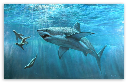 510x330 Great White Shark Painting Hd Desktop Wallpaper For Ultra - Great White Shark Drawing