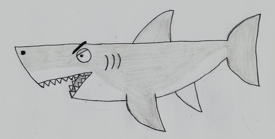 900x455 shark drawing great white shark for free download - Great White Shark Drawing