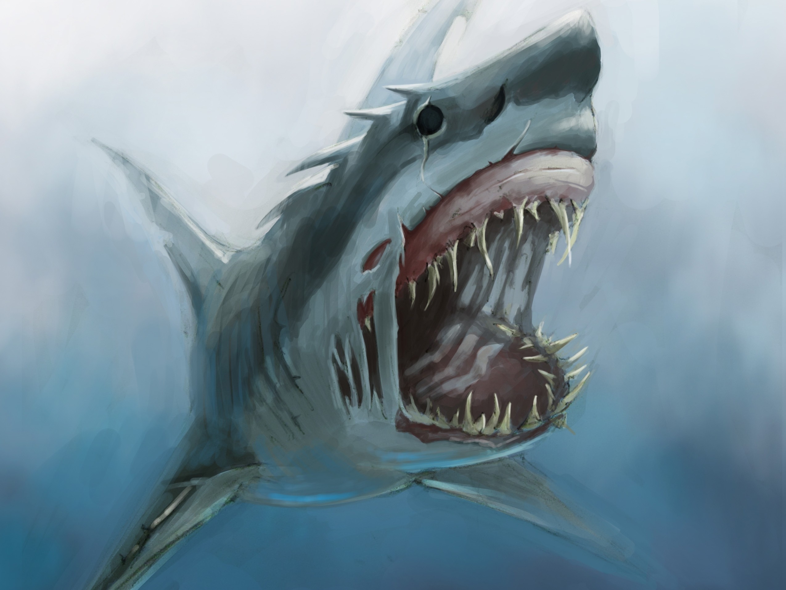 2550x1913 Wallpaper Drawing, Illustration, Sea Monsters, Great White Shark - Great White Shark Drawing