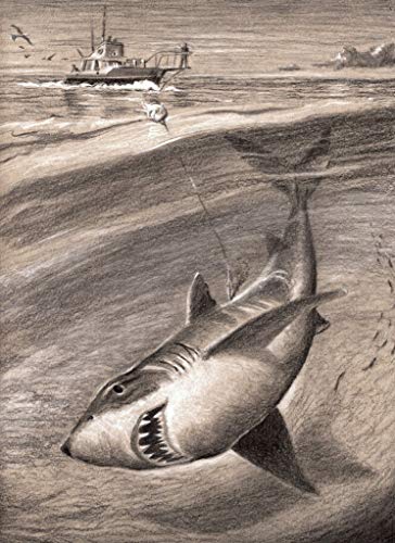 364x500 the great white shark jaws x cottage - Great White Shark Drawing