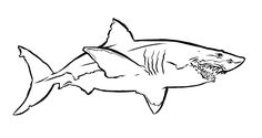 Great White Shark Outline Drawing