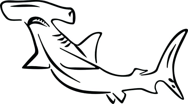 719x398 great white shark print great white shark pencil drawing print - Great White Shark Outline Drawing