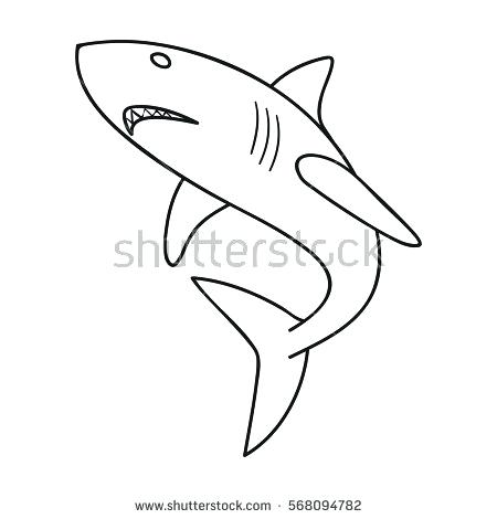 450x470 outline of a shark large drawing of a great white shark tiger - Great White Shark Outline Drawing