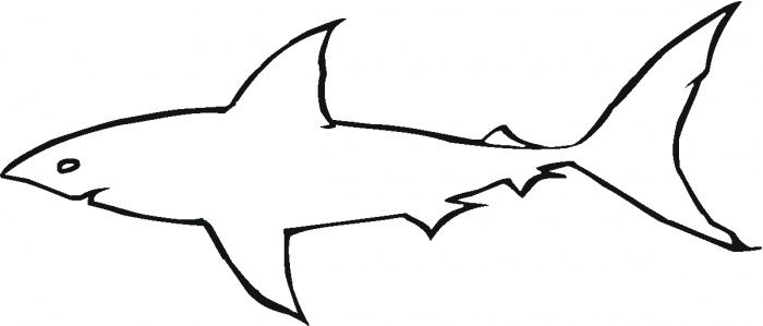 700x299 printable shark outline great white shark outline coloring - Great White Shark Outline Drawing