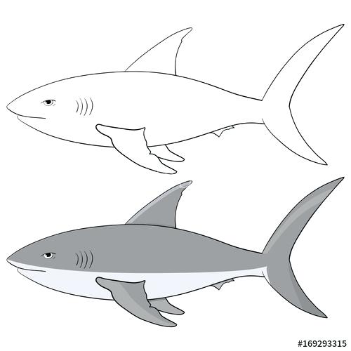 500x500 shark outline shark outline drawing hammerhead shark tattoo outline - Great White Shark Outline Drawing