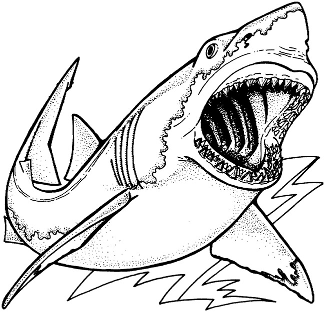 650x625 Shark Shape Templates, Crafts Colouring Pages Free - Great White Shark Outline Drawing