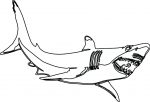 150x102 great white shark outline great white shark with mouth open - Great White Shark Outline Drawing