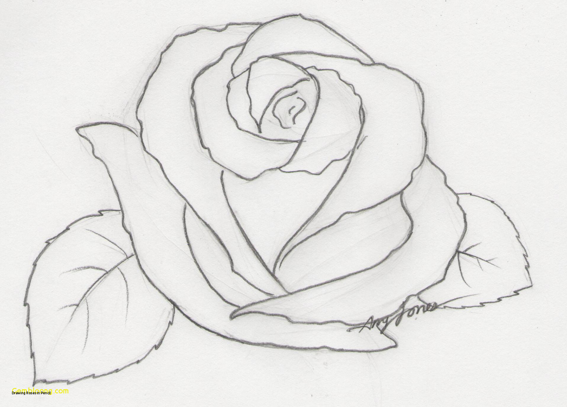1916x1376 Drawing Roses In Pencil How To Draw Greek Gods Conventional - Greek Gods Drawing