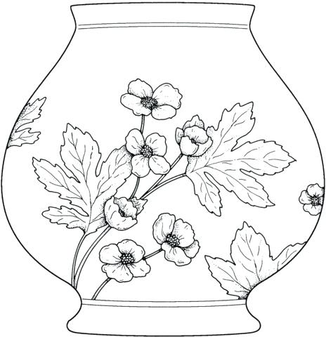 464x480 Huge Collection Of 'greek Vase Drawing' Download More Than - Greek Vase Drawing