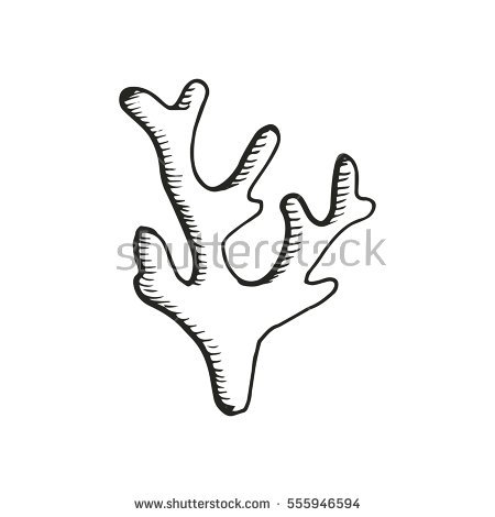 450x470 huge collection of 'algae drawing' download more than images - Green Algae Drawing