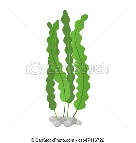 450x470 Superfood - Green Algae Drawing