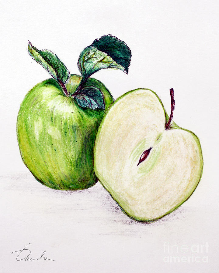 720x900 green apple painting - Green Apple Drawing