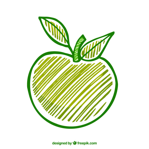 626x626 hand drawn green apple vector free download - Green Apple Drawing