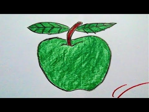 480x360 how to draw a green apple step - Green Apple Drawing