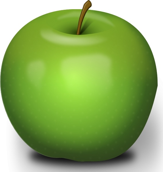 568x599 photorealistic green apple clip art free vector in open office - Green Apple Drawing