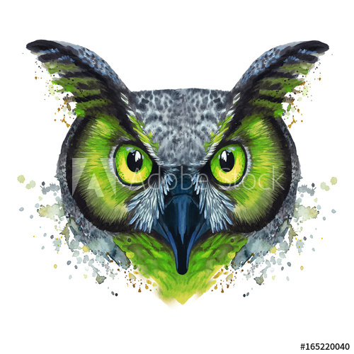 500x500 Drawing Painted - Green Bird Drawing
