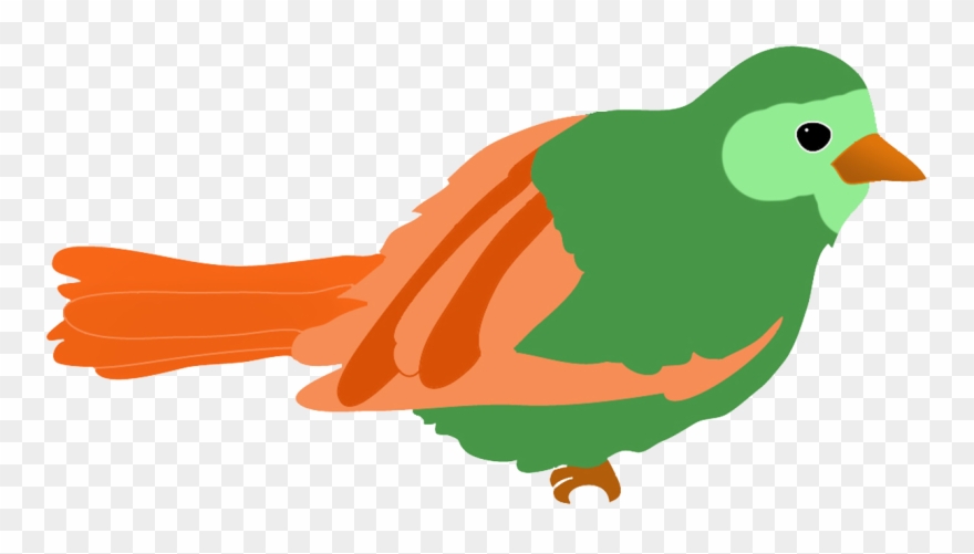 880x501 Green Colored Bird Drawing - Green Bird Drawing