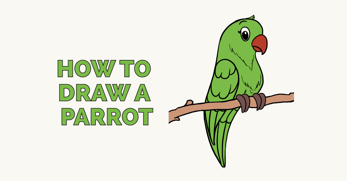 1200x628 How To Draw A Parrot - Green Bird Drawing