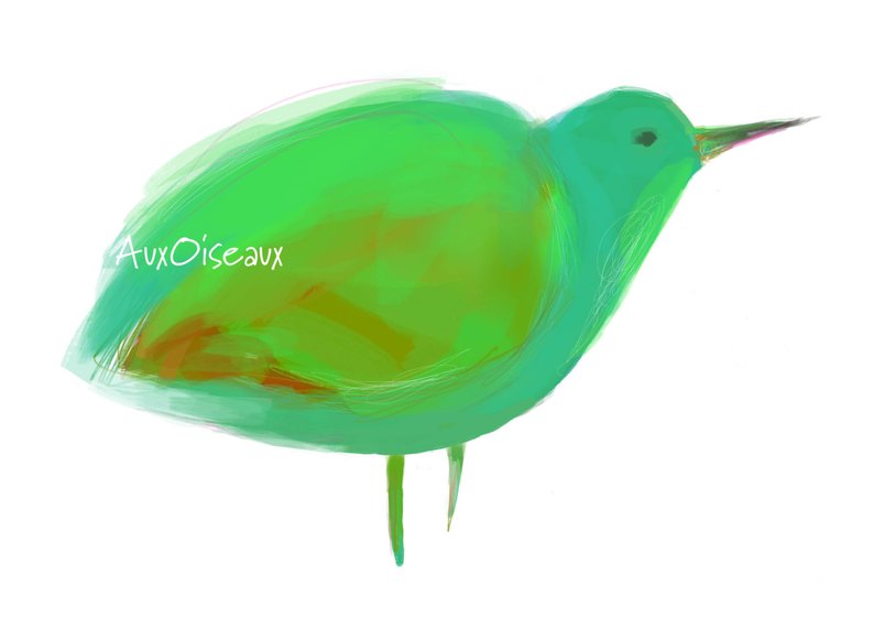 794x561 Sea Green Turquoise Orange Original Digital Drawing Bird Etsy - Green Bird Drawing