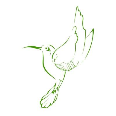 400x400 The Green Bird Cafe - Green Bird Drawing