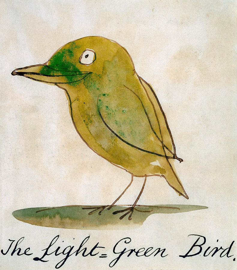 790x900 The Light Green Bird Painting - Green Bird Drawing