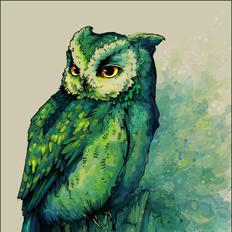 475x474 Bird, Drawing, Green, Illustration, Owl, Painting - Green Bird Drawing
