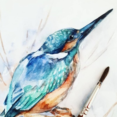 400x400 Bird Drawing Tumblr - Green Bird Drawing