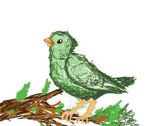 300x250 Green Bird On Tree Branch - Green Bird Drawing