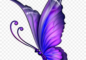300x210 Butterfly Drawing Color Drawing, Coloring A Bluegreen Butterfly - Green Butterfly Drawing