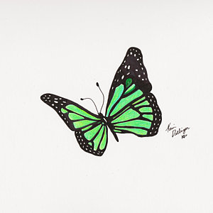 Green Butterfly Drawing at PaintingValley.com | Explore collection of ...