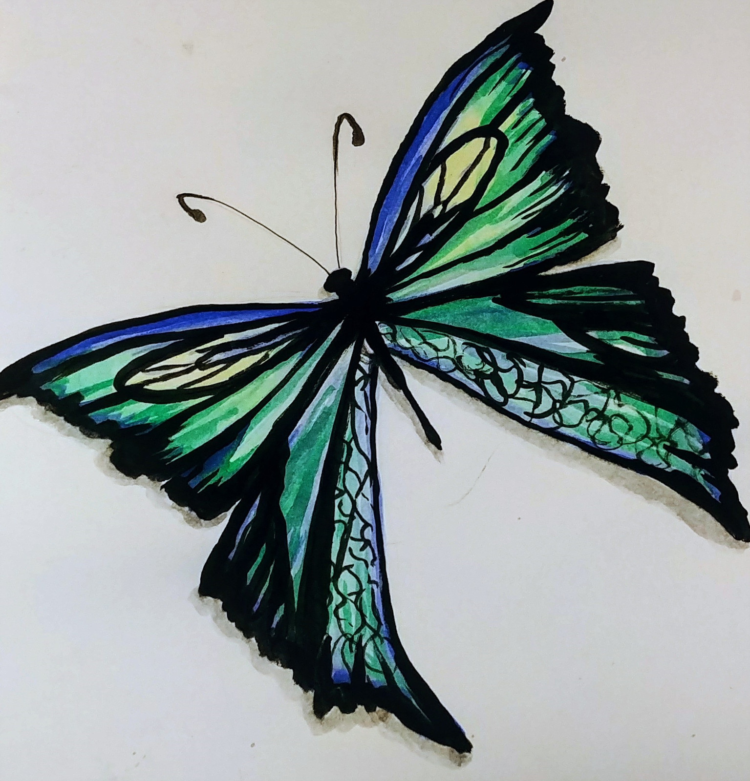 1535x1600 Green Butterfly - Green Butterfly Drawing
