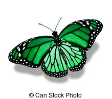 219x194 green butterfly illustrations and clipart green butterfly - Green Butterfly Drawing