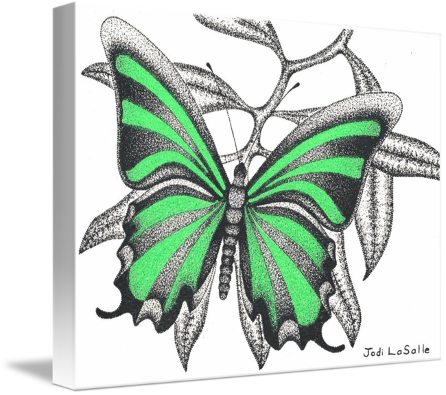 650x575 Ribbons - Green Butterfly Drawing