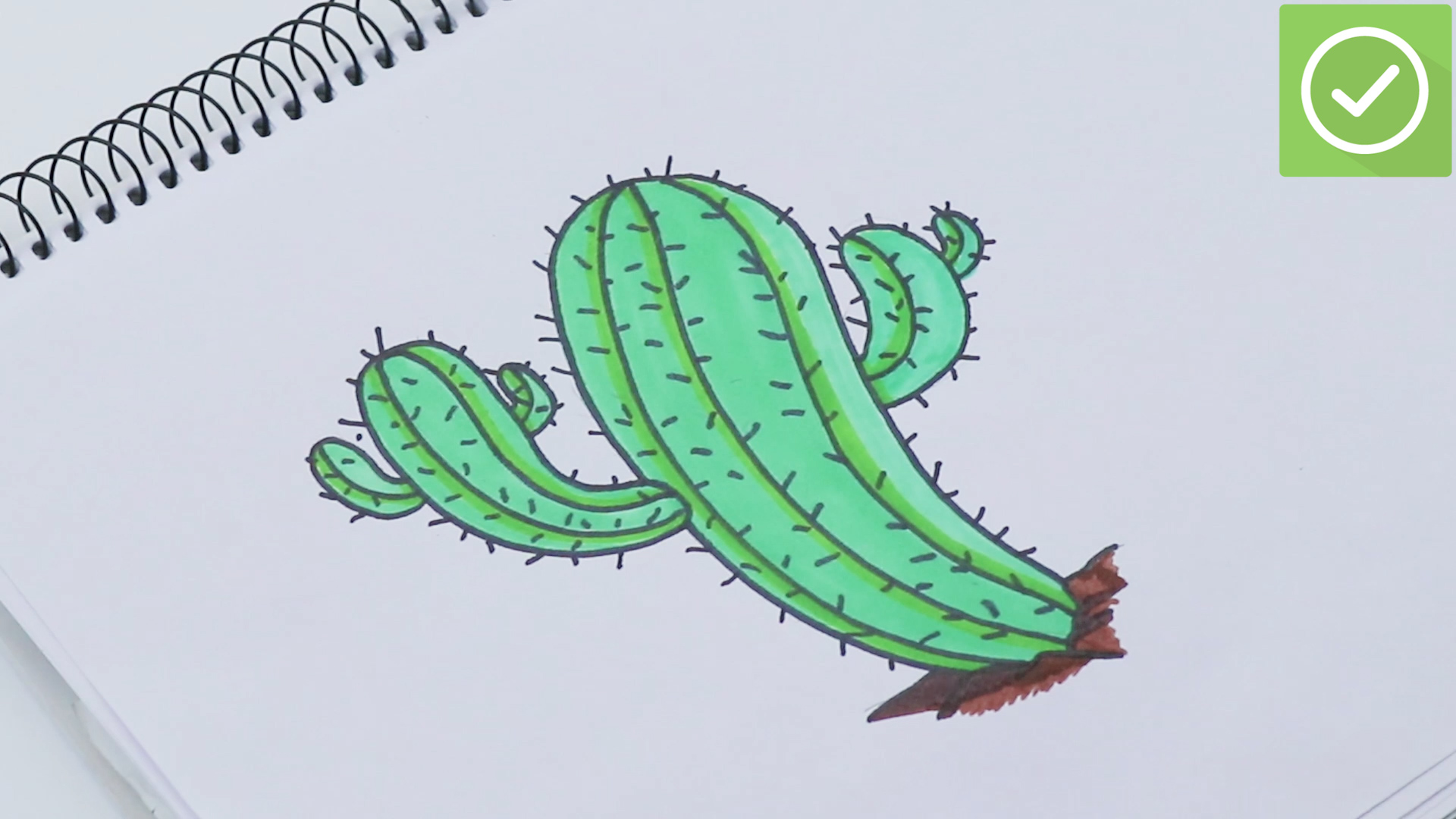 1920x1080 How To Draw A Cactus Steps - Green Drawing
